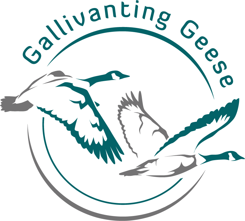 The Gallivanting Geese