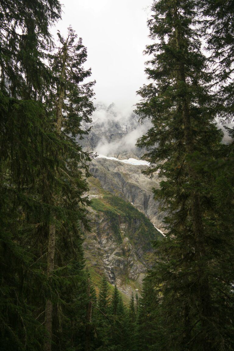 5 Underrated PNW National Forests with Free Entry: Hidden Gems for Hiking & Camping (2026 Guide)